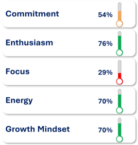 rating_scale_002