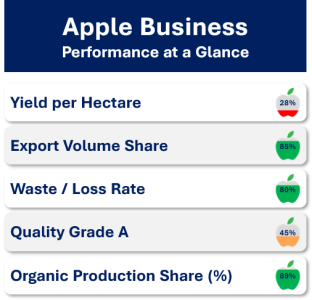 rating_scale_019